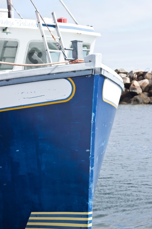 Nova Scotia Bluefin Tuna Fishing / A Thousand Threads